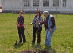 Загальноуніверситетські акції «Чисте довкілля» та «Посади дерево»